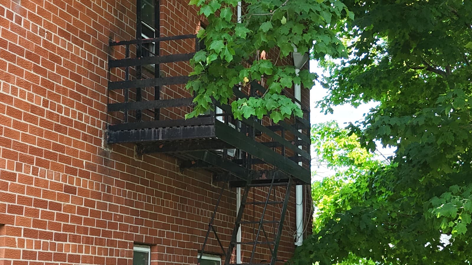 Drone field photograph, plate 141, 2026-05-19, New Jersey fire escape inspection by Oyster Fire Escape Inspections